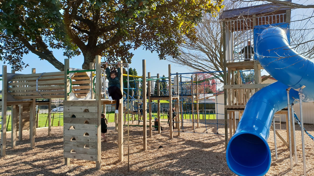 Greenpark School Playground
